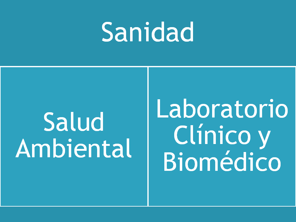 Diapositiva5